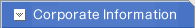 Corporate Information
