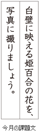 級位認定試験課題イメージ画像