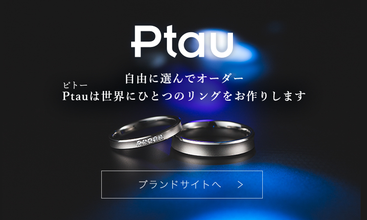 Ptau～ピトー