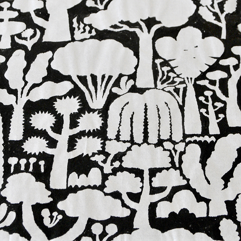 create004_1k_8705.JPG