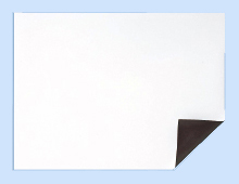WSG4560n.jpg