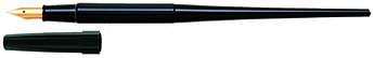 dpp_100_b.jpg