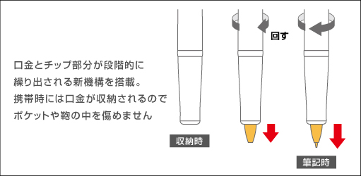 タイムライン 製品情報 Pilot