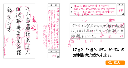 縦書き、横書き、かな、漢字などの添削指導が受けられます。