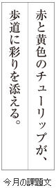 級位認定試験課題イメージ画像